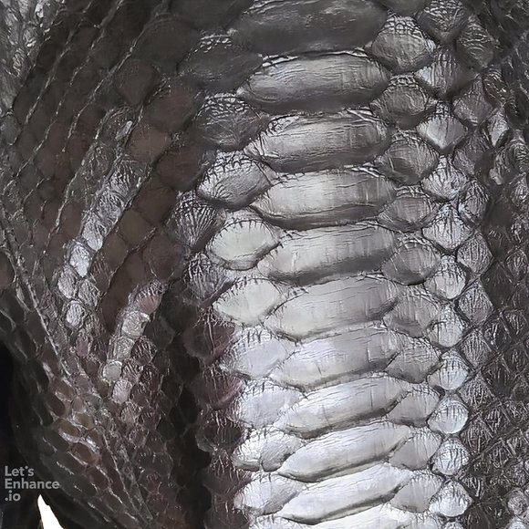 Black Snakeskin Women Motorcycle Jacket - Picture 6 of 8